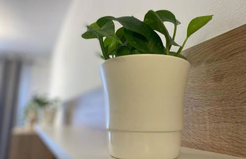 Playa del Arbeyal VUT-5192-AS - Foto 14