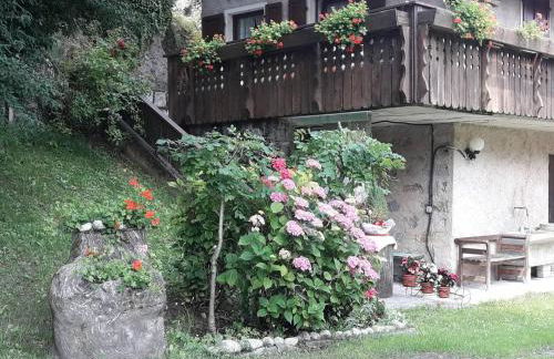 CASETTA INDIPENDENTE NEL VERDE PER 2/3 PERSONE - Photo 8