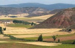 Casa Rural Camino de la Fuente - Foto 40