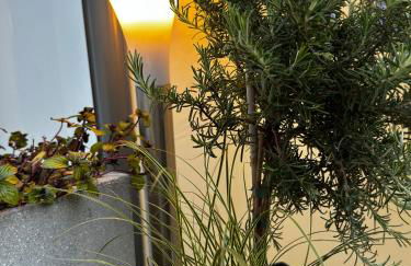 Ferienwohnung-Königsschlösser - Foto 37