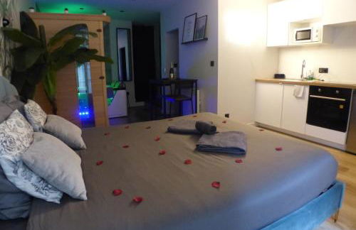 Appartement balnéothérapie et sauna hyper centre - Foto 1