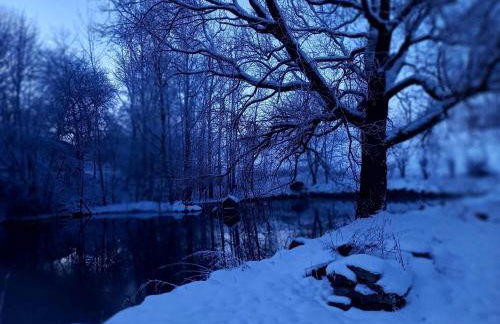 Ferienhaus Sinneswandel - Foto 28
