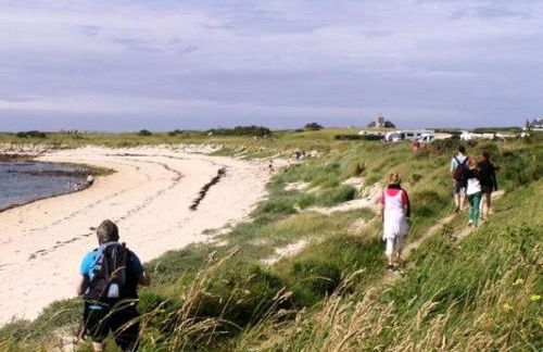 Résidence G104-ile Grande - Les Dunes maison avec jardin clos à Ile Grande MAE-3434 - Foto 13