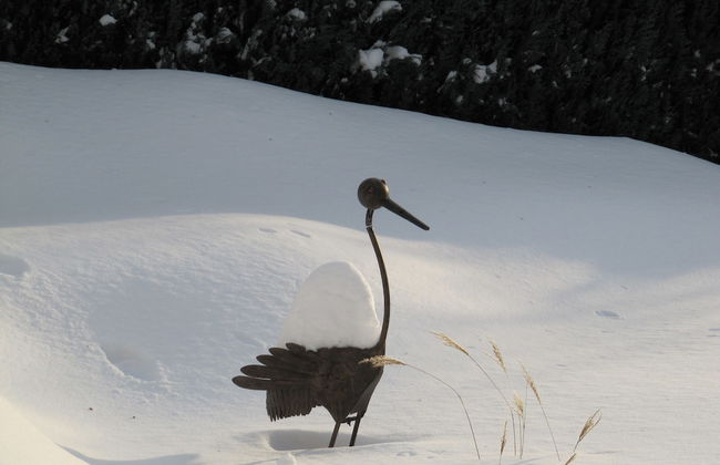 Haus Sonnenhügel - Foto 18