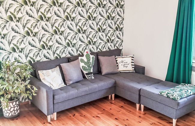 Jeżynowa - Photo 11