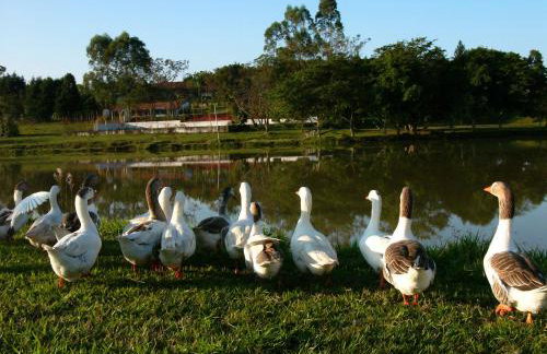 Hotel Fazenda Sete Lagos - Photo 29