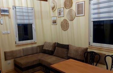 Temeszówka domek do wynajęcia - Foto 16