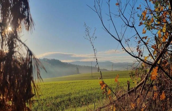 Modern Holiday Flat With Pool in the Harz - Foto 36