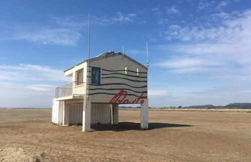 Les vagues du Sud - Photo 12