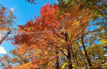 Bay Point Hideaway in the Woods - Foto 59