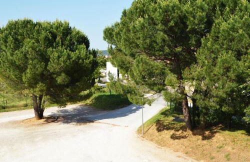 La Résidence Des Oliviers - Foto 18