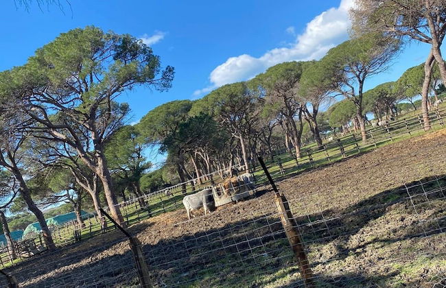 "la Casa Delle Bimbe" - Foto 26