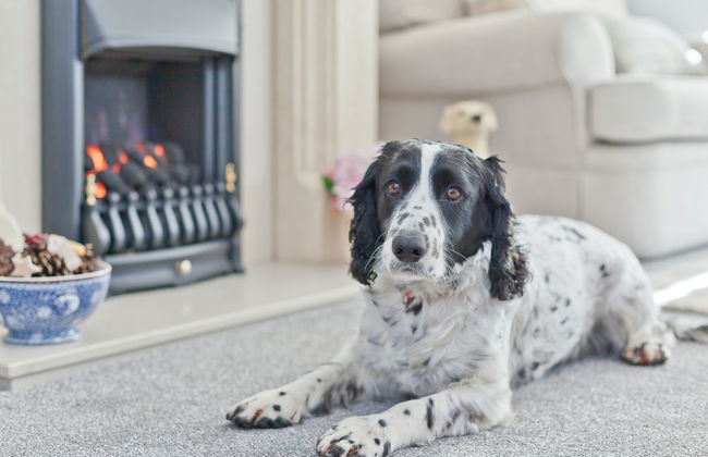Lake District Coastal Cottage - Foto 7