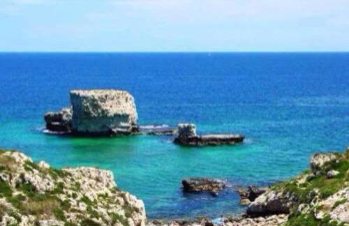 Don Pasqualino - Foto 22