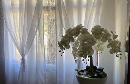 Chalé House Falkenberg - Foto 14