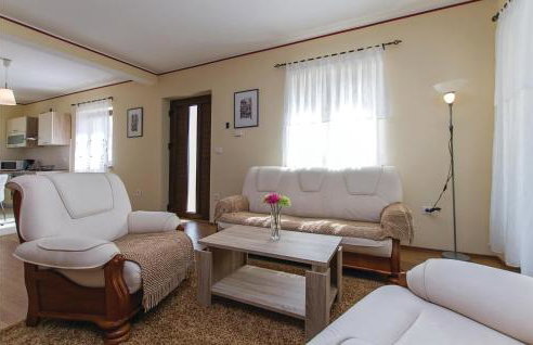 Holiday Home Nedescina 49 - Foto 27