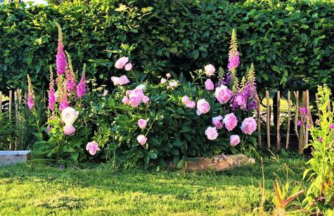 Ferienwohnung Wiesenblick in Suthfeld - Foto 13