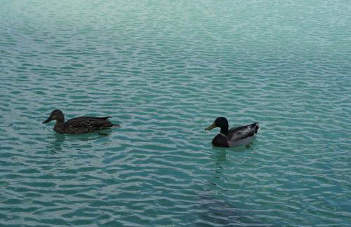 Casa Rural RosaVera - Foto 44