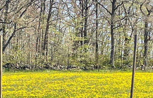 6 Person Holiday Home in Solvesborg - Photo 11