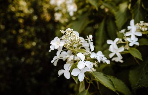 Ferienwohnung König Ludwig - Modernes Design-Apartment für Paare und Genießer am Starnberger See by LIVARIA - Foto 51