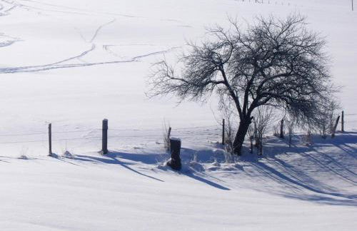 Chalet in Schmallenberg Nahe Winterberg Ski - Foto 26