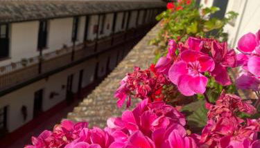 Apartament Alameda center - Foto 1