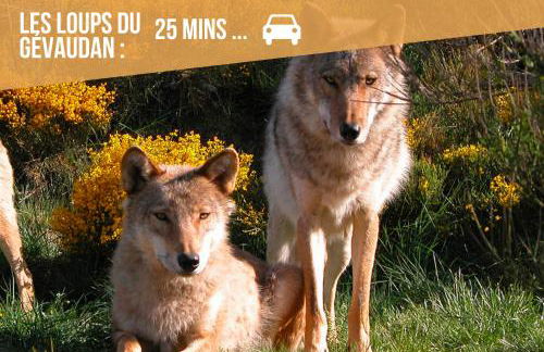 Le Point Sublime - Netflix/Wifi Fibre/Terrasse - Foto 40