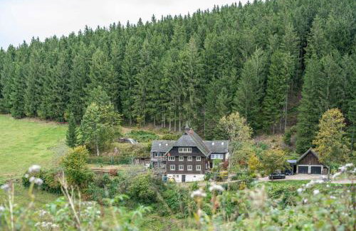 Schwarzwald Chalet - Karlshütte - Foto 38