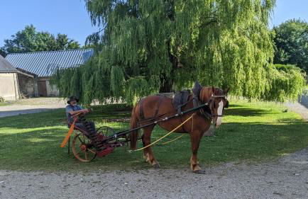 Chambre des moutons - Foto 13