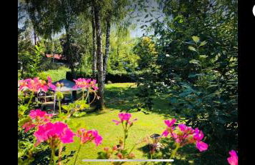 Fun Franz for 6 Persons - Foto 65