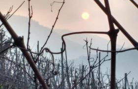 Apartments Stiftshof - Foto 9