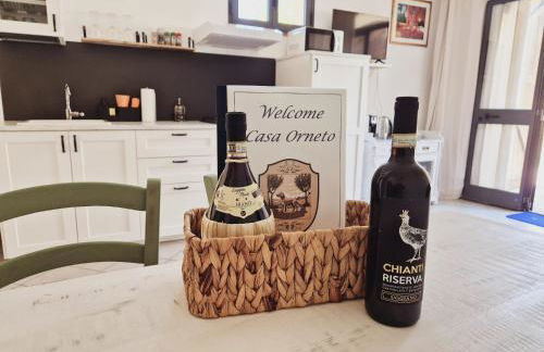 CASA ORNETO - Foto 56