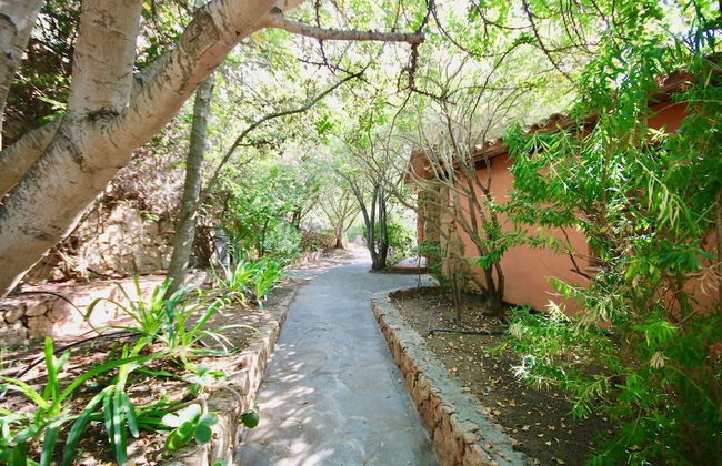 Villa Ginepro - Foto 19