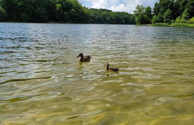 JELONKOWO - Dom na wynajem - Kaszuby - Foto 32