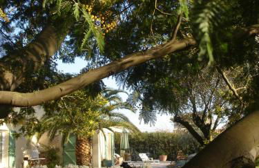 Gite de l'Amandari - classé 3 etoiles Prefecture - piscine chauffée privative, terrasses et jardin, 5 minutes à pied du village - Foto 15