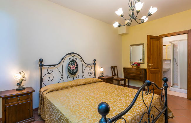 Rosa+Margherita+Lavanda+Ginestra+Gelsomi - Foto 37