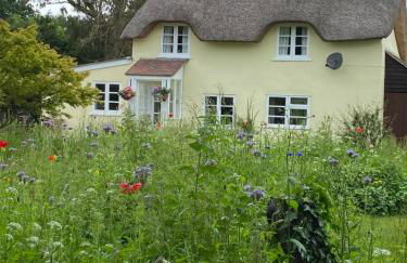 Primrose Cottage - Photo 1