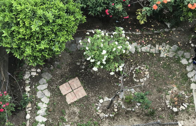 Tortosa Blue - Foto 20