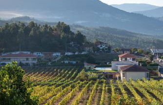 Casa Flor do Campo - Foto 60