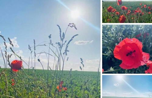 Apartment Glesch - Foto 21