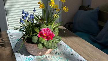 Idyllische 2-Zimmer-Wohnung im Herzen Hannovers - Foto 5