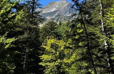 VielhaTuca - Foto 14