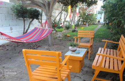 Zagara di Sicilia - Foto 14