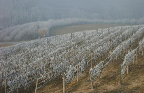 Cascina Longoria - Foto 47