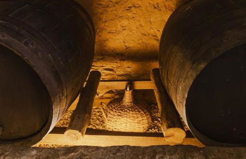 BABhouse Casa do Avô Pedoucas - Coração do Douro - Foto 30