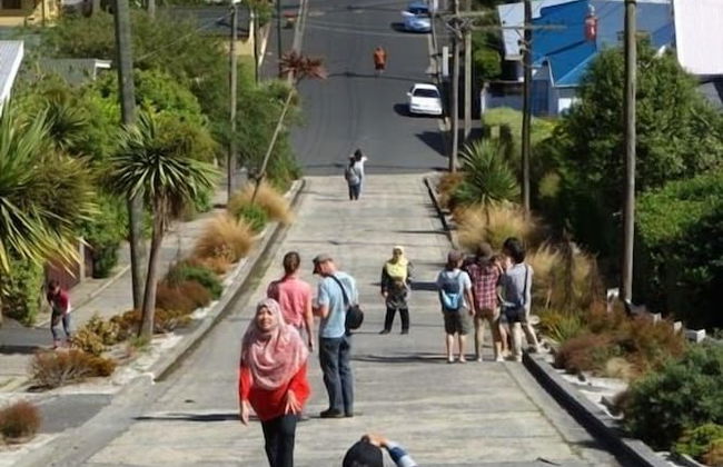 Baldwin Street BNB - Foto 55