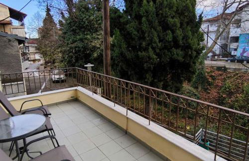 Διαμέρισμα παραποτάμια Νάουσα - Foto 15