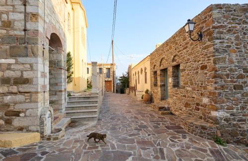 Volissos Pirgos Village - Foto 75