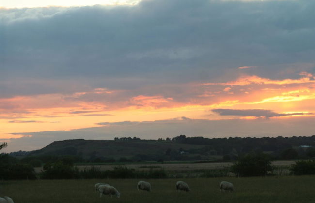 Cottage in Brookland With Private Sauna - Photo 21