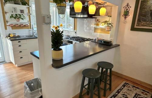 BoDekes N Tacoma Landing with HOT TUB near University - Foto 14